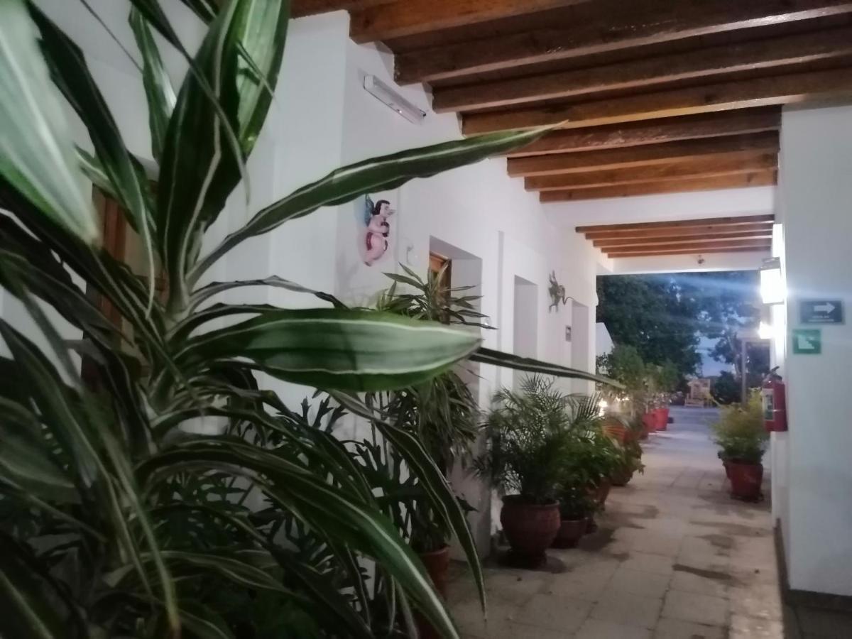Hotel Aitana Oaxaca Экстерьер фото