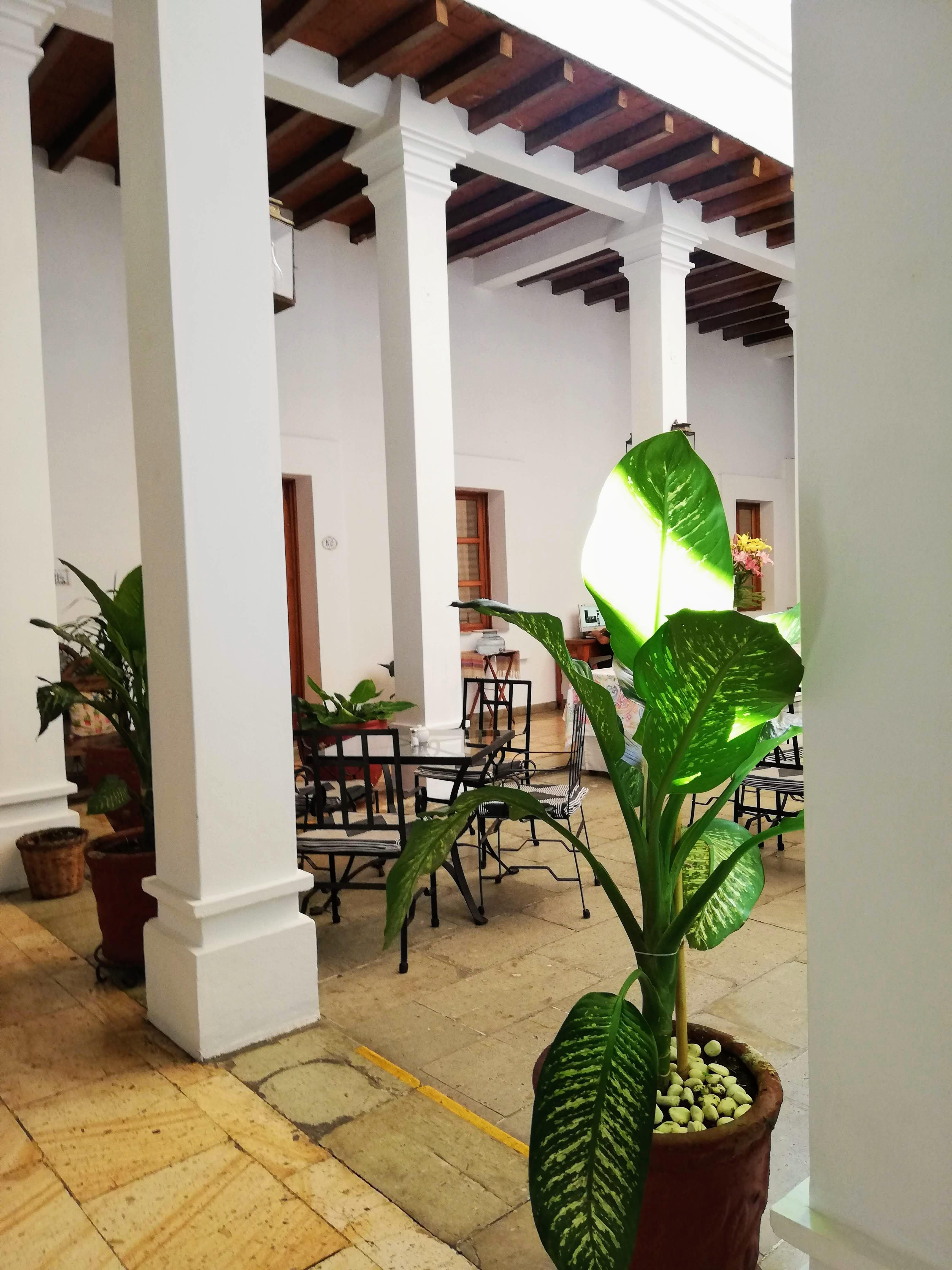 Hotel Aitana Oaxaca Экстерьер фото